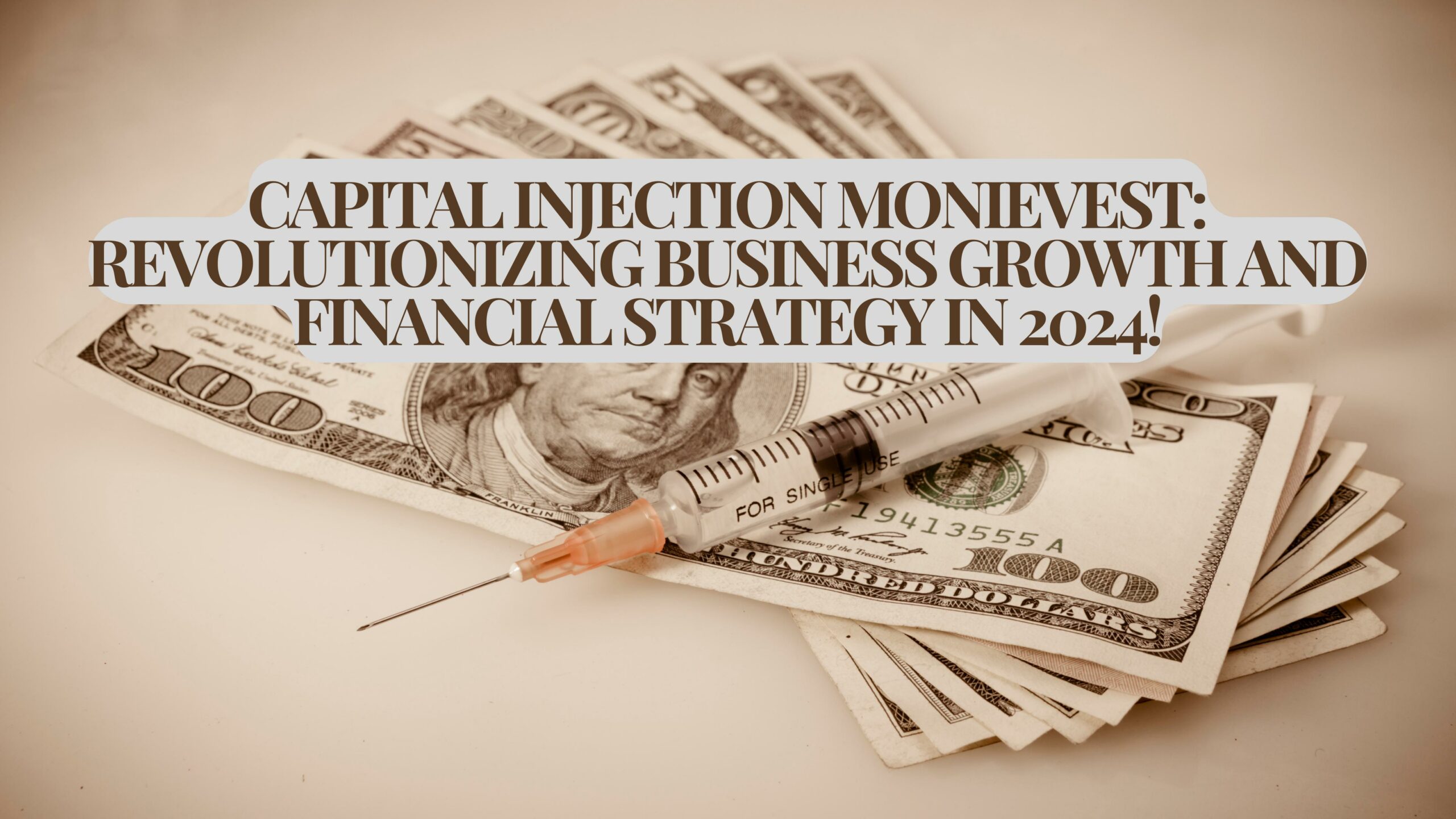 Capital Injection Monievest Revolutionizing Business Growth and Financial Strategy in 2024!