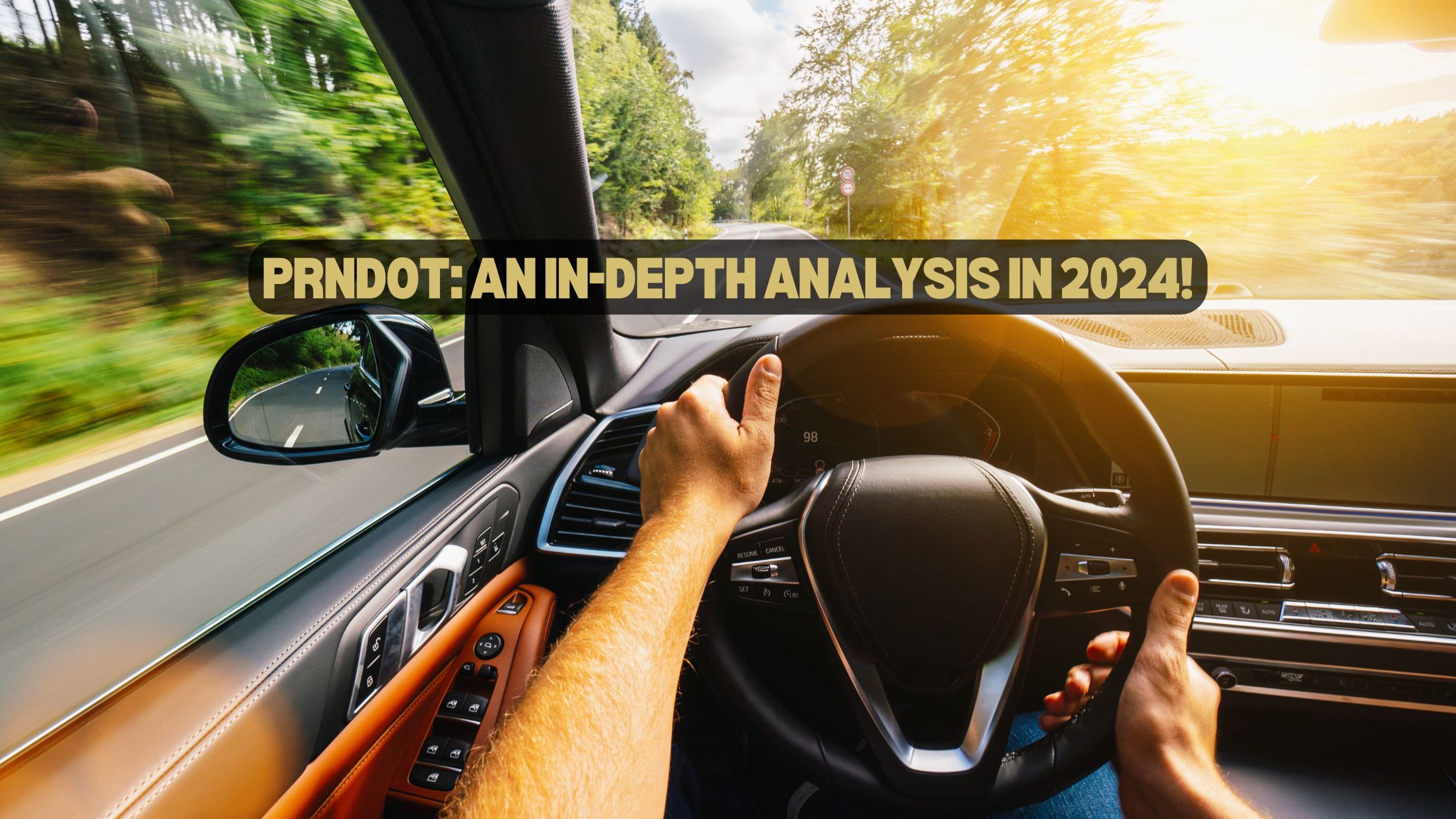 PRNDOT An In-Depth Analysis in 2024!